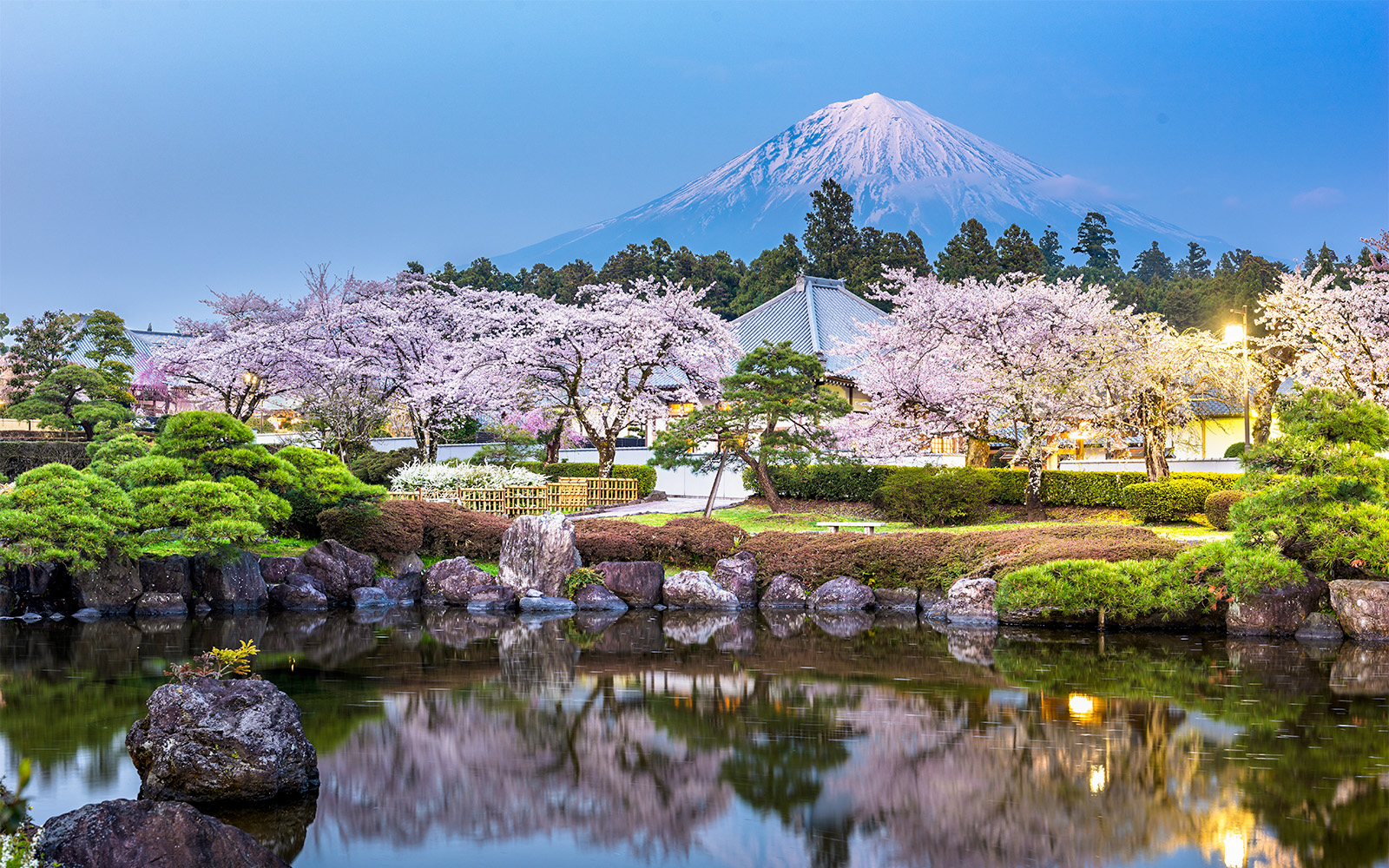 Mt. Fuji Rondleidingen - Deskundige rondleidingen & Tokio Transfers